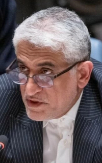 �A�~�[�����T�C�[�h���C�����@�j��