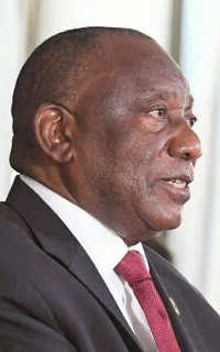 �V���������}�t�H�T