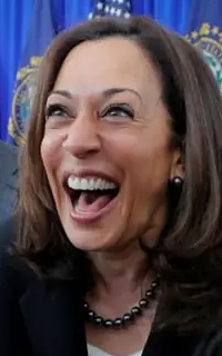 �J�}�����n���X