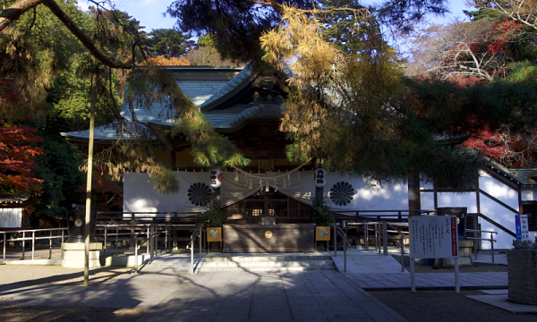 ������_�{