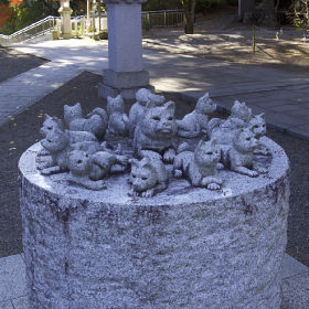 ������_�{