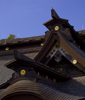 ����O�_��