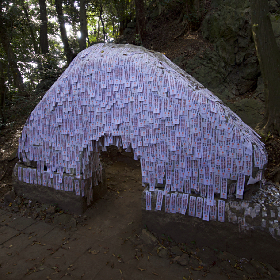 ���P�_��