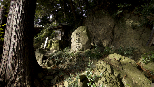 ���P�_��