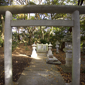 ���P�_��