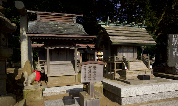 ����O�_��