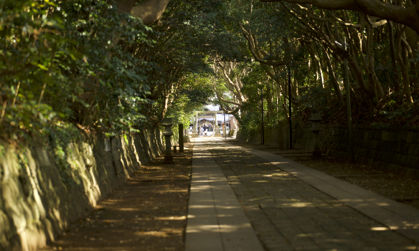 ����O�_��