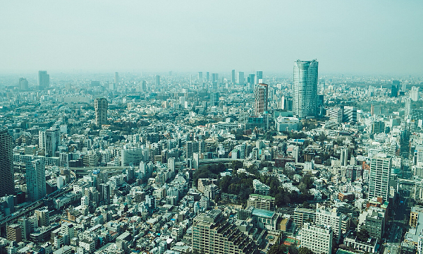 �����̔��f