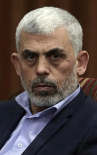 ���q�����V������