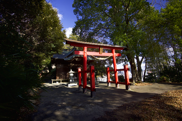 ��q��א_��