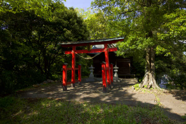 ��q��א_��