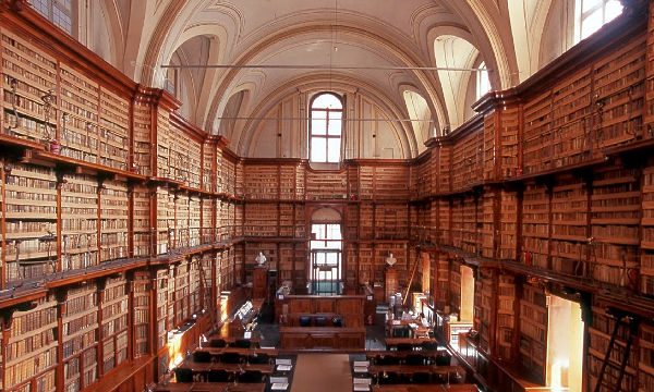 �o�`�J�����c���}����