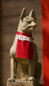 ����z�K�_�Ёi���킫�s���쒬�j�̍���