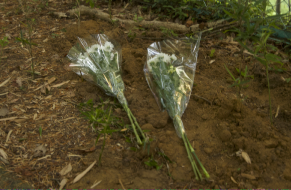 �L�Q�C�̖���