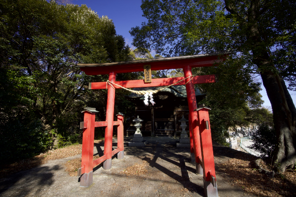 ��q��א_��