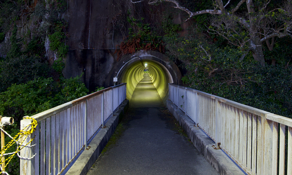 �g���g���l���e�̕��s�җl�g���l��